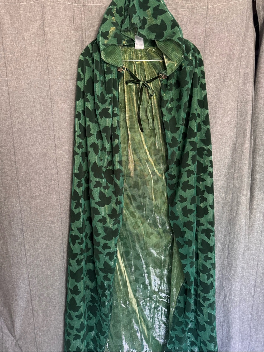 Poison Ivy Villain Green Long Adult Cape Batman’s Enemy Hooded Cosplay DC Comics